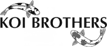 Logo Koi Brothers
